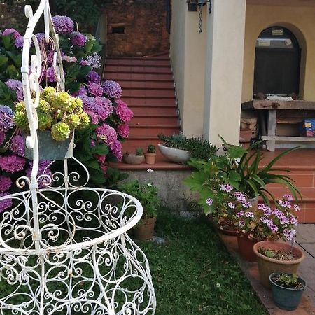 B&B Dal Brillante Seravezza Exterior foto